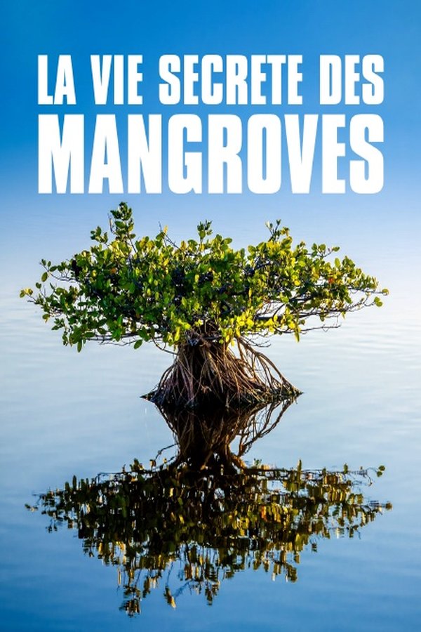 movie cover